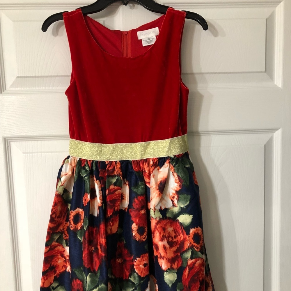 Beautiful Red Velvet/Gold Floral Dress Sz 12